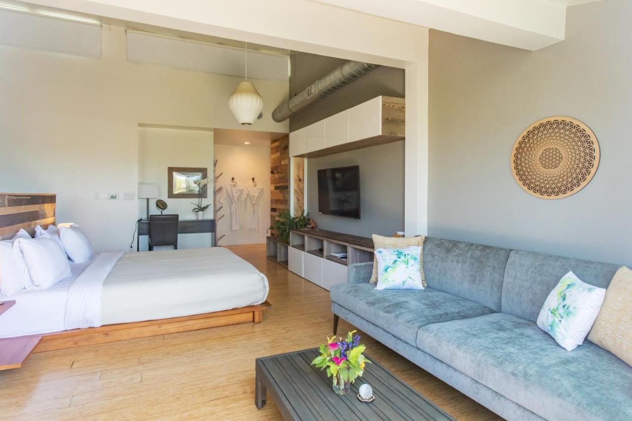 Inn At Moonlight Beach Encinitas Esterno foto