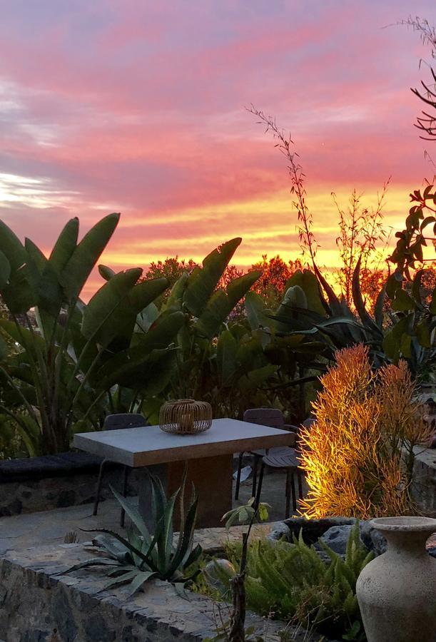 Inn At Moonlight Beach Encinitas Esterno foto