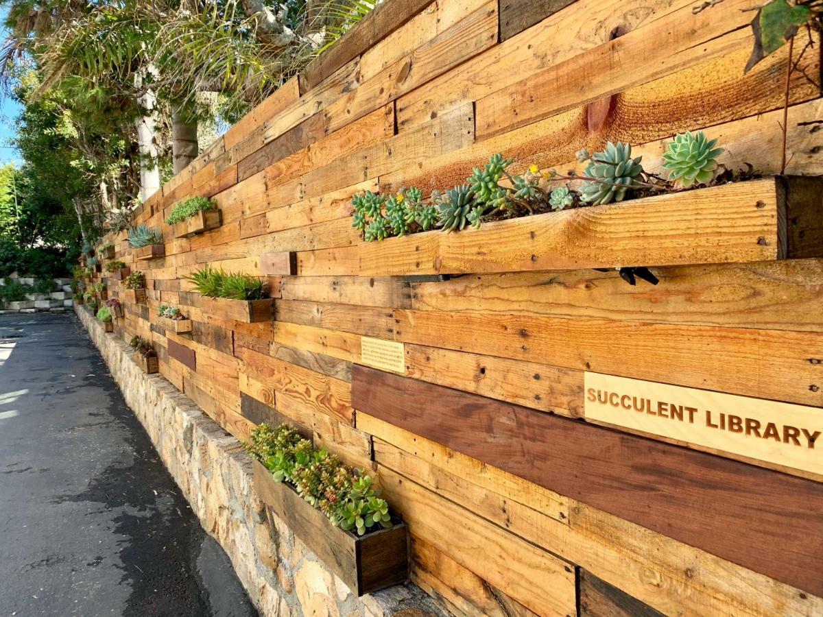 Inn At Moonlight Beach Encinitas Esterno foto